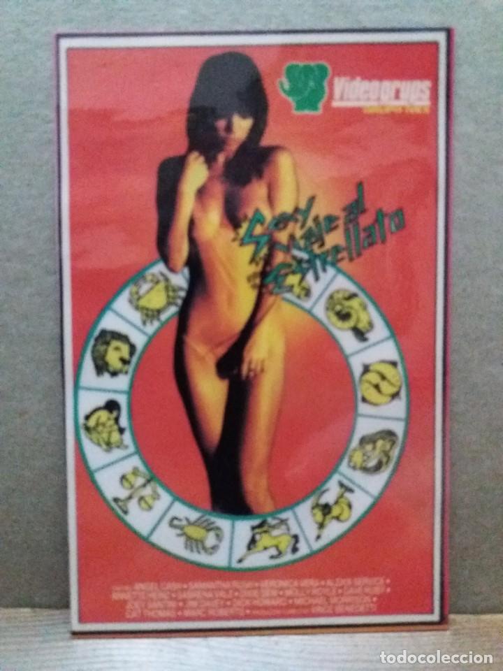 Kino: Sexy viaje al estrellato