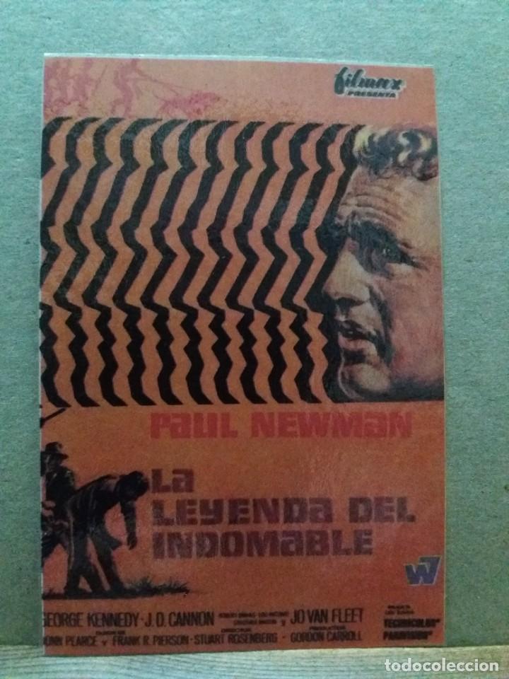Kino: La leyenda del indomable