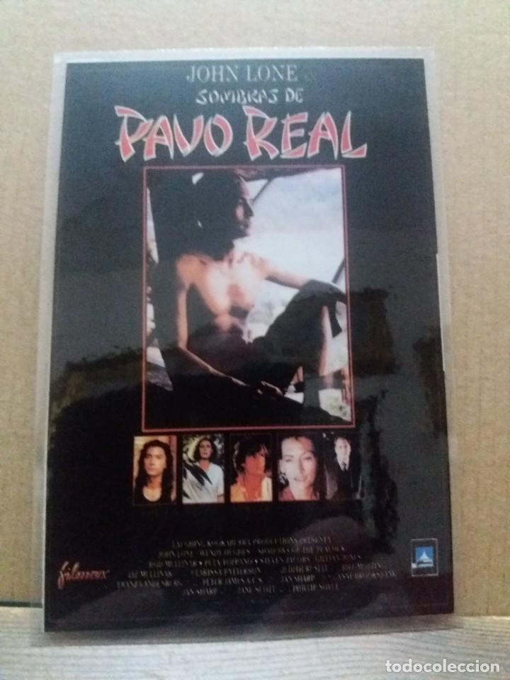 Kino: Sombras de pavo real