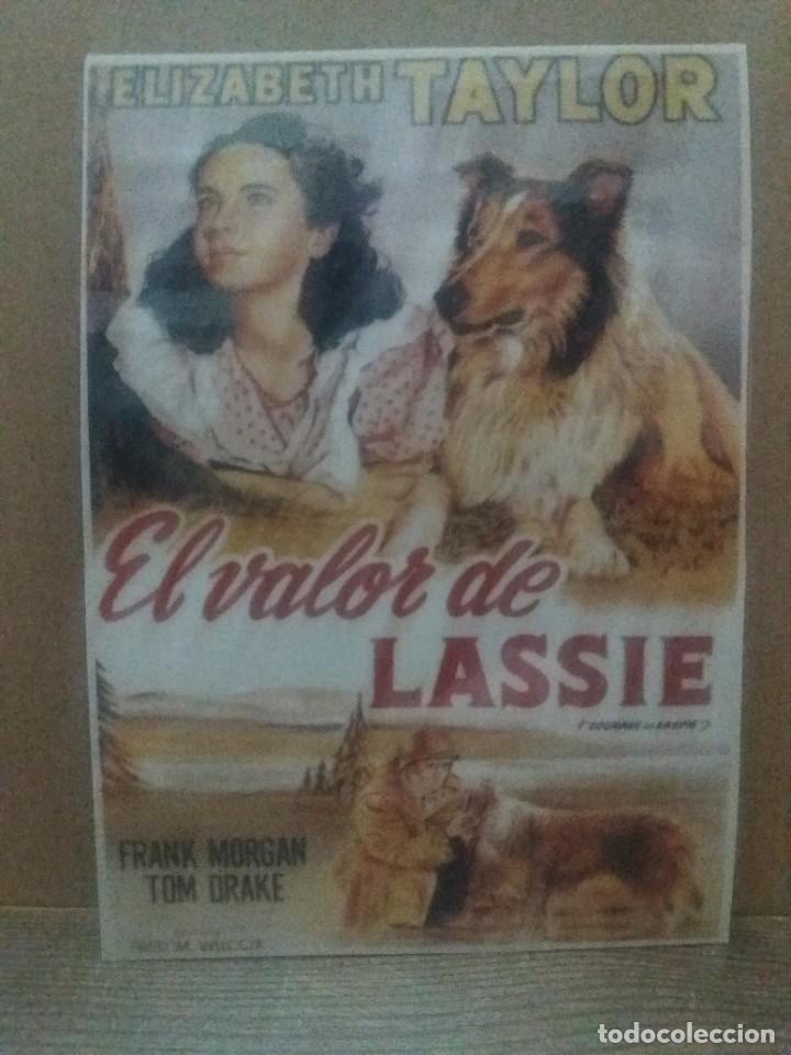 Kino: El valor de Lassie plastificado