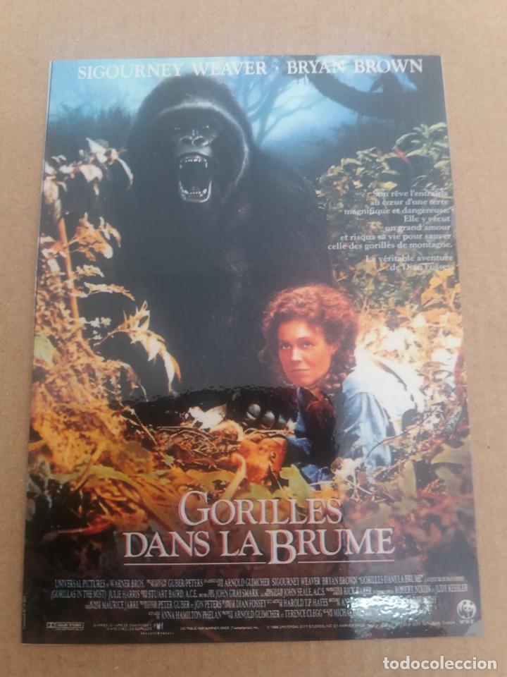 Kino: Gorilles dans la brume