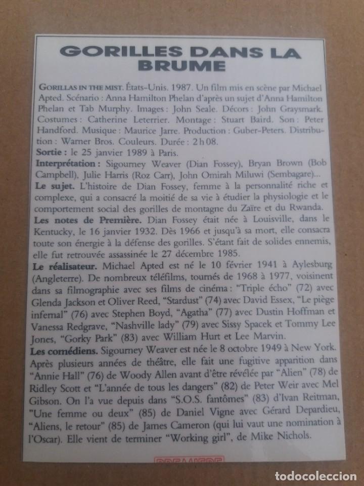 Cine: Gorilles dans la brume - Foto 2