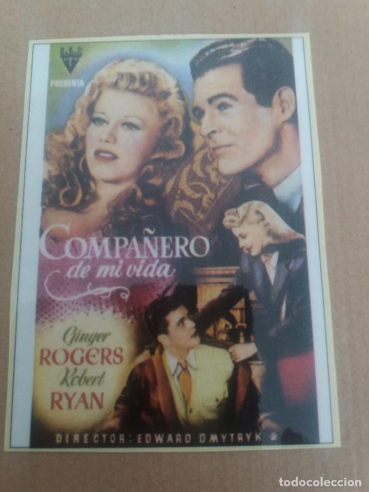 Kino: Compa&ntilde;ero de mi vida