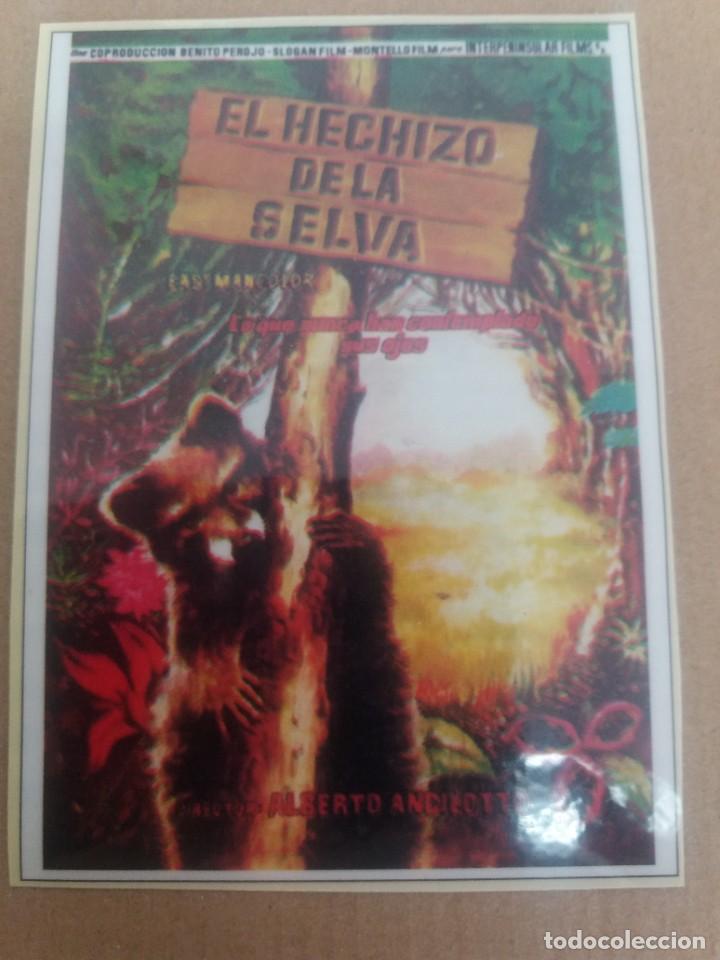 Kino: El hechizo de la selva