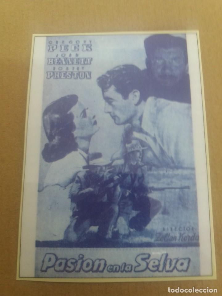 Kino: Pasi&oacute;n en la selva