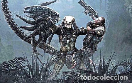 Cine: posters avp alien vs predator alien vs depredador 42x30cm