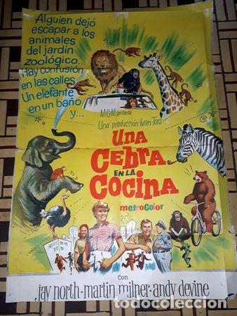Kino: una cebra en la cocina afiche jnorth mmilner adevine 567