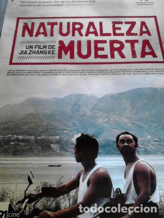 Kino: afiche de cine naturaleza muerta