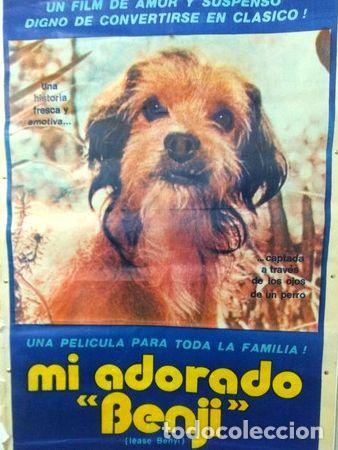Kino: posters afiches de cine mi adorado benji