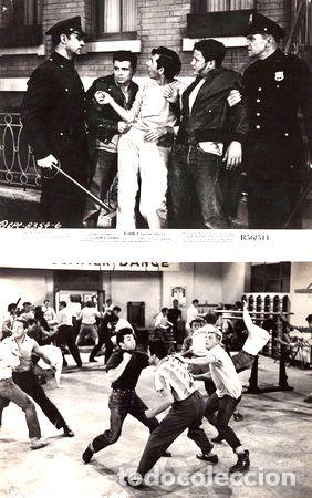 Kino: rumble on the docks lote 2 1956 usa lobby cards