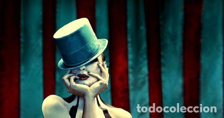 Kino: poster american horror story lamina 48x32cm 300gs deco