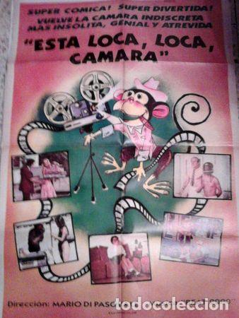Kino: afiche esta loca loca camara