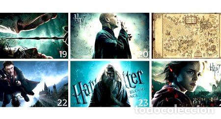 Kino: poster harry potter lamina 48x32cm papel 300gs bellatrix