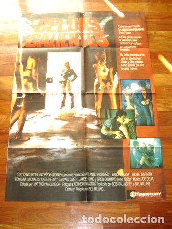 Kino: afiche de cine celdas calientes kascha bill minning prision
