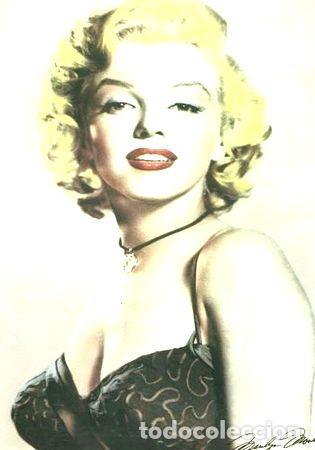 Kino: lamina a color de marilyn monroe 19x27