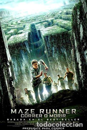 Kino: poster original cine maze runner