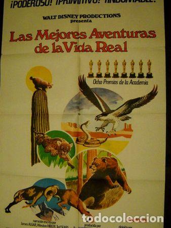 Kino: afiche cine las mejores aventuras de la vida real walt disne