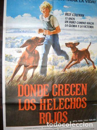 Kino: afiche cine donde crecen los helechos rojos wilson rawels