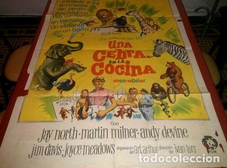Kino: una cebra en la cocina afiche de cine original 282