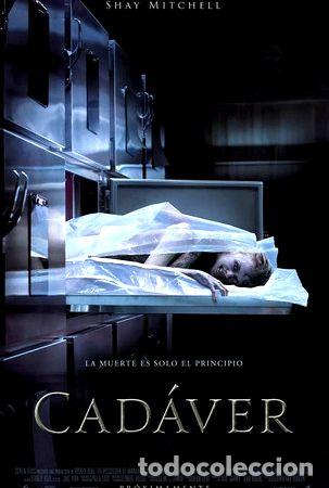 Kino: poster original de cine cadaver 79