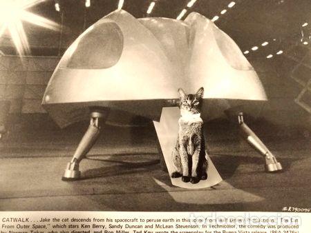 Kino: foto pelicula catwalk 1978 disney