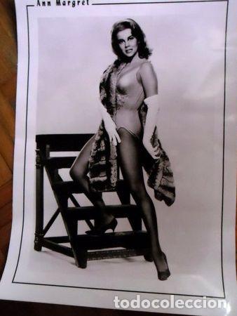 Kino: ann margret poster