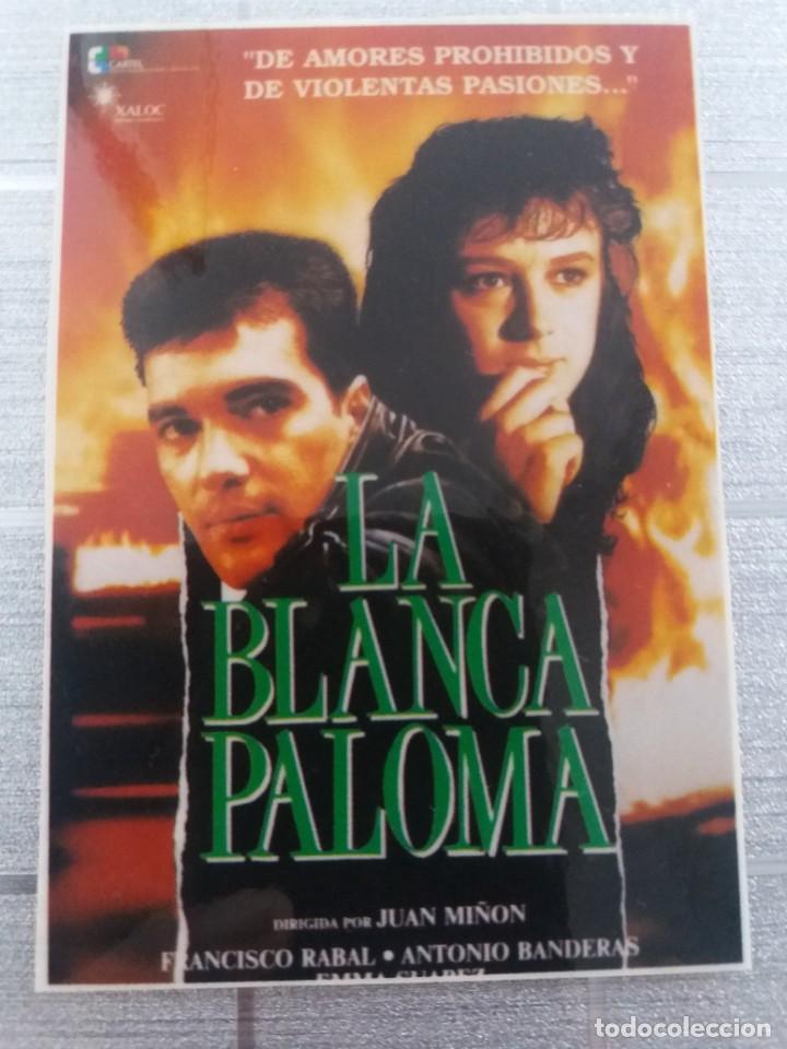 Kino: La blanca Paloma