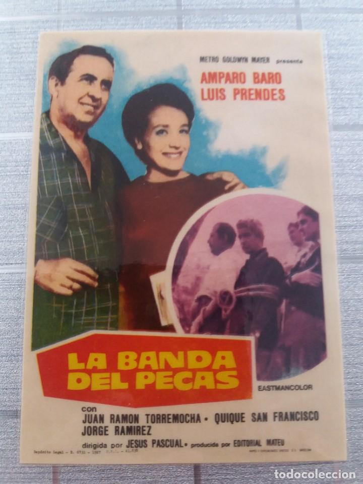 Kino: La banda del Pecas