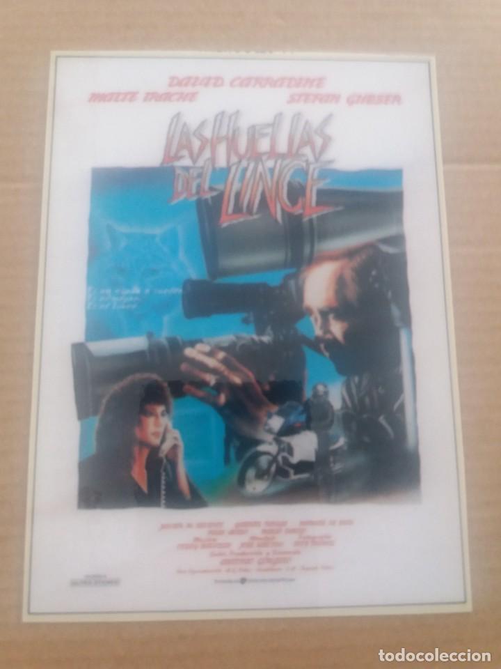 Kino: Las huellas del lince