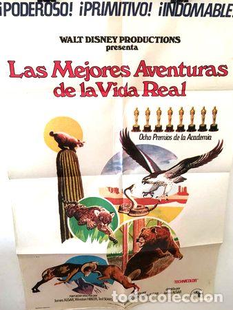 Kino: afiche de cine las mejores aventuras de la vida real