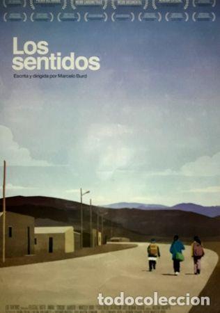 Kino: poster de la pelicula los sentidos