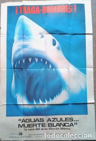 Kino: posterpelicula aguas azules muerte blanca 243