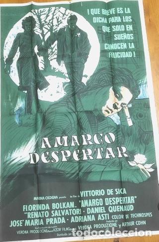 Kino: poster de la pelicula amargo despertar 881