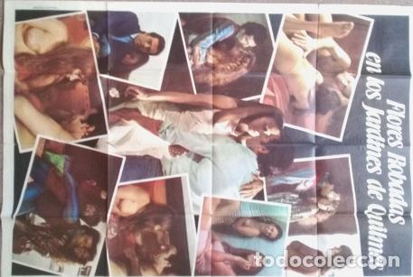 Kino: poster flores robadas en los jardines de quilmes 172