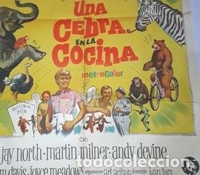 Kino: una cebra en la cocina afiche jay north mmilmer r43