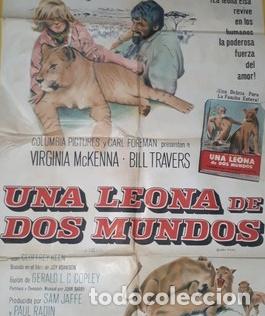 Kino: una leona de dos mundos afiche cfotos vmckenna m31