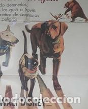 Kino: el viaje increible afiche cfotos walt disney l39