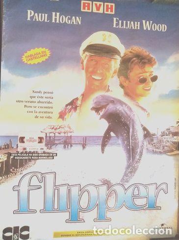 Kino: poster de la pelicula flipper