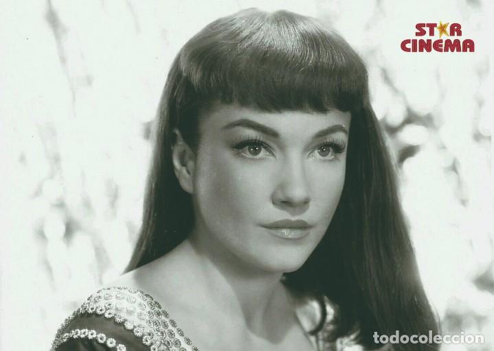 Cinema: CARTEL-POSTER size:45x32 cm. aprox.Stars of Cinema - Anne Baxter Photoprint