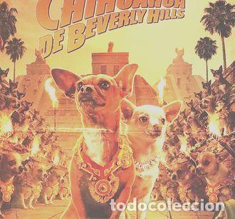 Kino: afiche una chihuahua de beverly hills 1172