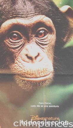 Cine: afiche de la pelicula chimpances 1173 - Foto 1