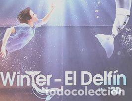 Kino: afiche de la pelicula winter el delfin 1188