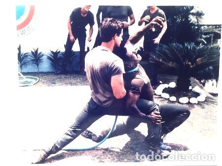 Kino: lobicard n 4 el ultimo guerrero americano m dudikoff