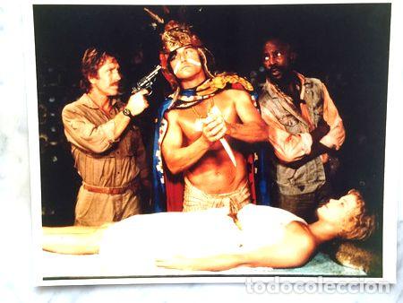 Kino: lobicard n 8 chuck norris el templo del fuego