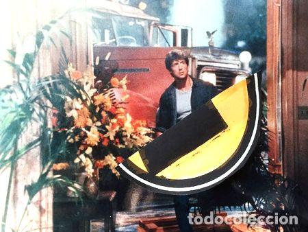 Kino: lobicard n 1 silvester stallone en halcon