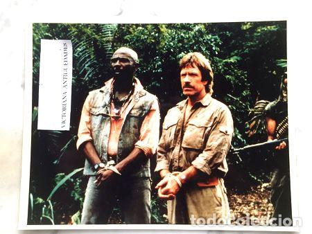 Cinema: lobicard n 3 chuck norris el templo del fuego original