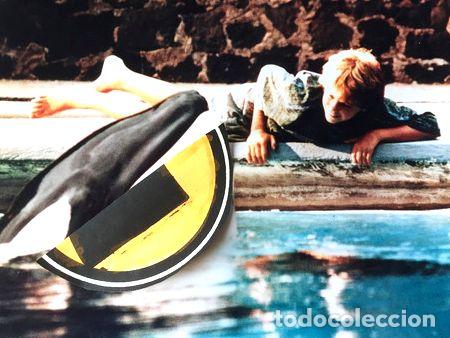 Cinema: lobicard n 2 liberen a willy jason james richter original