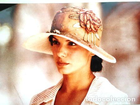 Cinema: de amor y guerra sandra bullock lobicard n 1