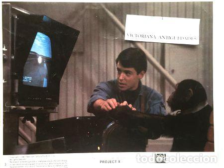 Cinema: lobicard n 3 proyecto x matthew broderick ano 1987 usa