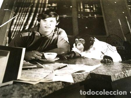 Cinema: disney lobicard n 5 un ejecutivo muy mono kurt russell